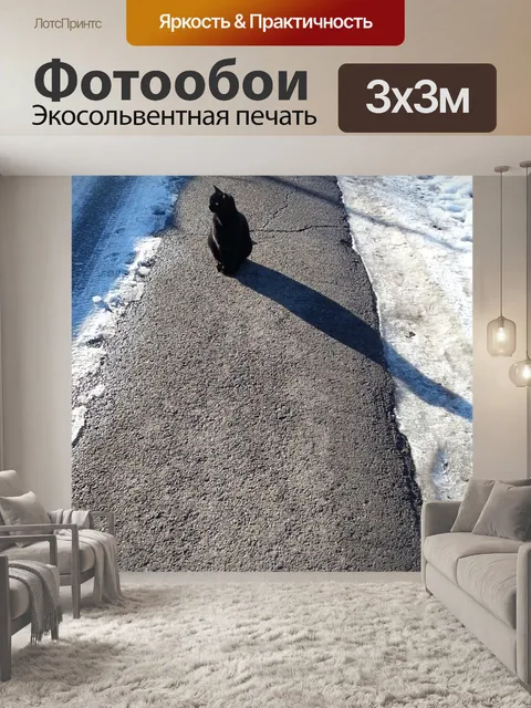 Фотообои Черный кот