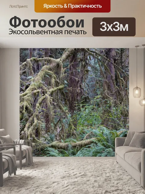 Фотообои Тропический лес