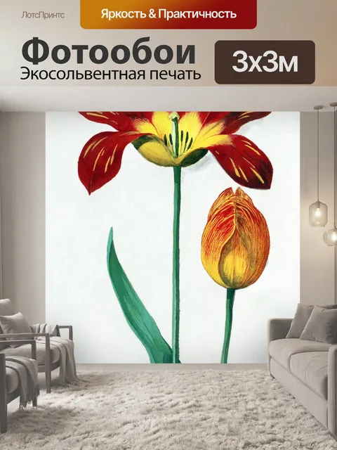 Фотообои Цветок тюльпана нарисовал искусство
