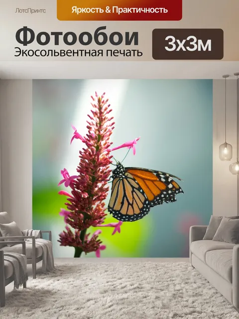 Фотообои Бабочка монарх розовый цветок