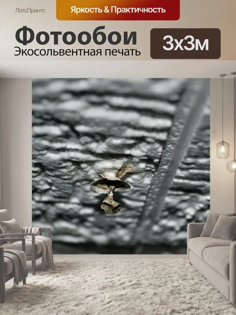 Фотообои Осиное гнездо