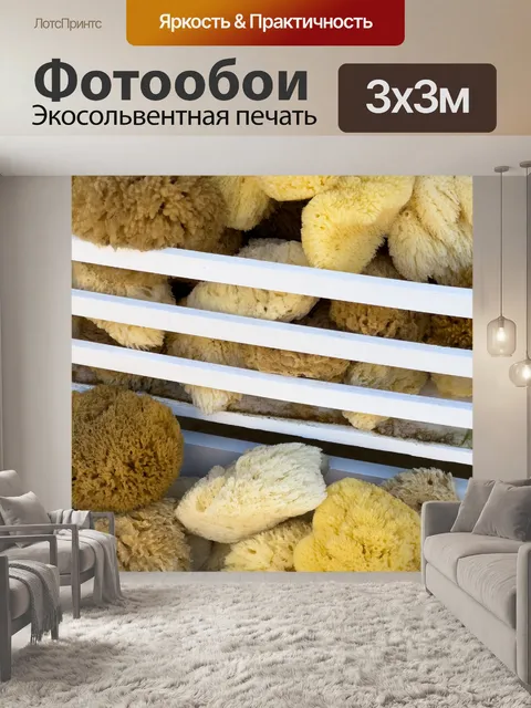 Фотообои натуральные морские губки