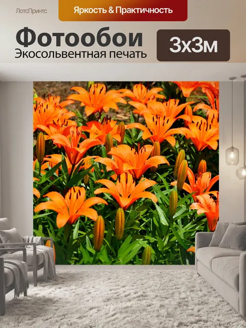 Фотообои яркие азиатские лилии