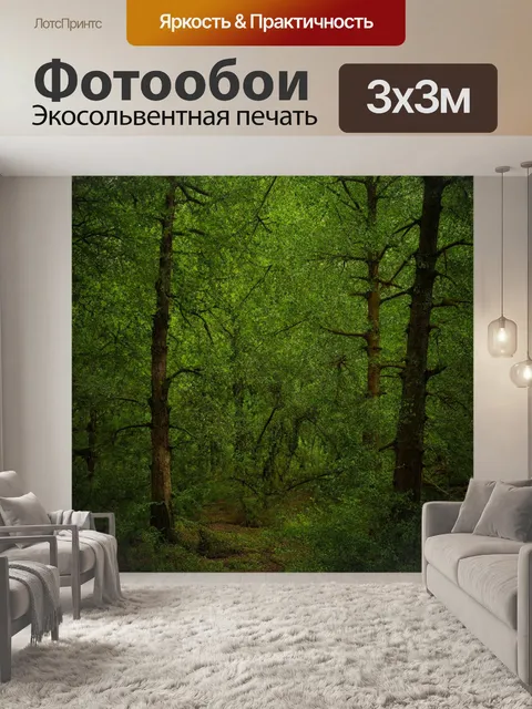 Фотообои лес с уникальными формами деревьев и природным разнообразием