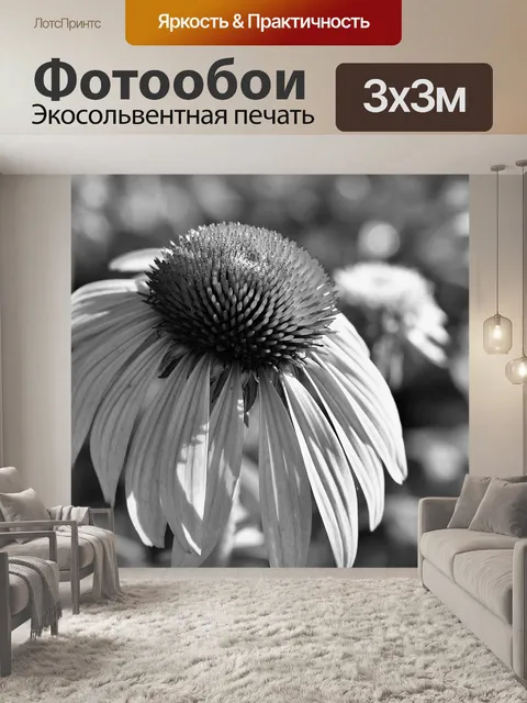 Фотообои Черно-белый