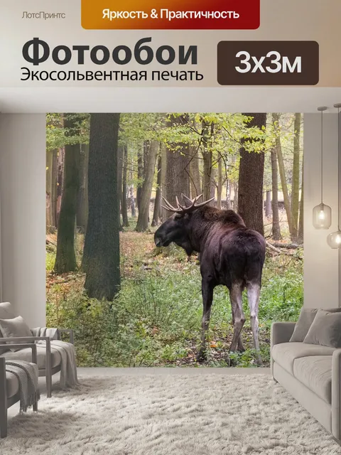 Фотообои Лось