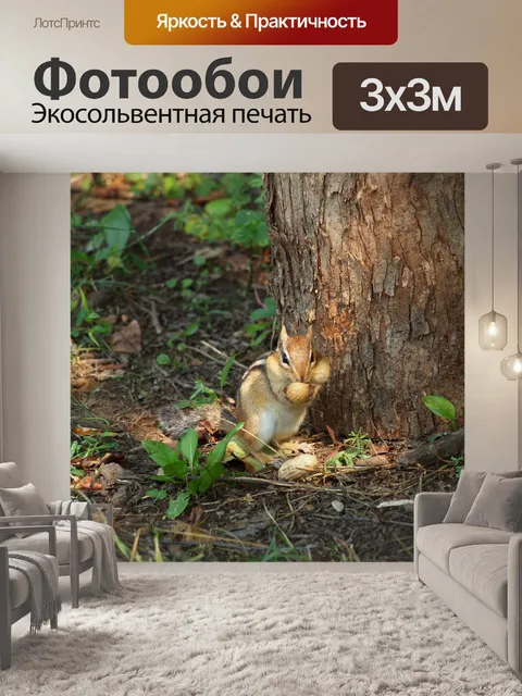 Фотообои Бурундук с полными щеками
