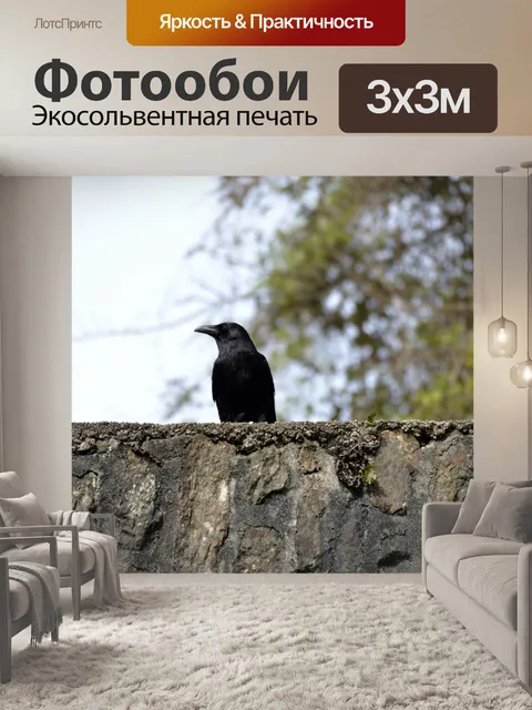 Фотообои Ворона сидит на стене