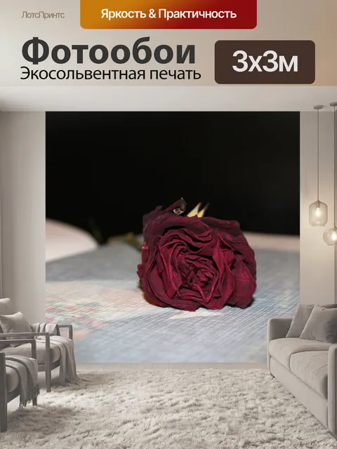 Фотообои Фото альбом