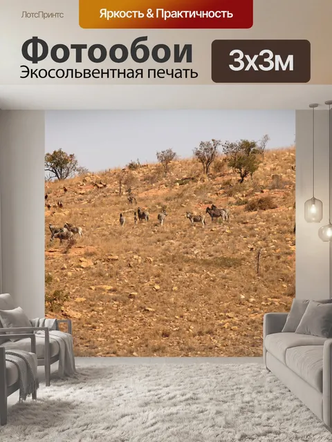 Фотообои зебра, стоящая на холме зимой