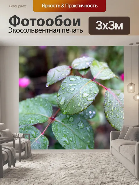 Фотообои Дождь