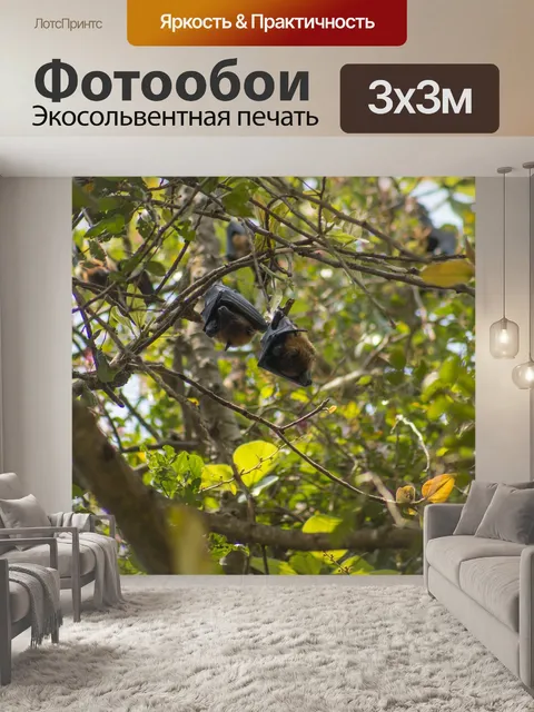 Фотообои Между летучие мыши птица 9265