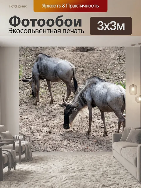 Фотообои Gnu