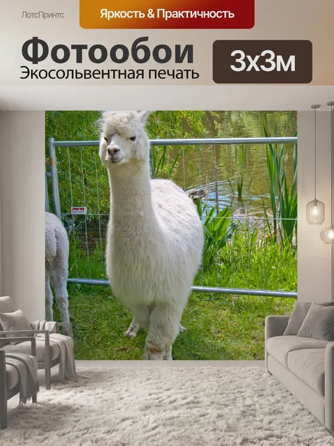 Фотообои Белый альпаки