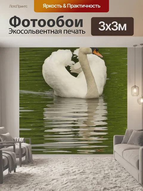 Фотообои Лебедь