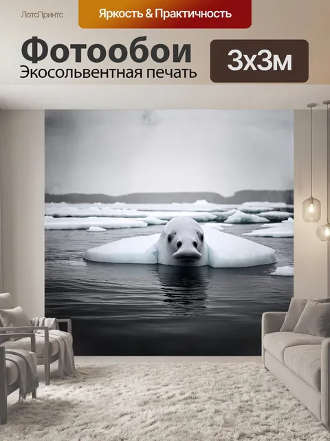 Фотообои белуха, нежно выглядывающая из-поза льдины, снятая в стиле минималистической черно-белой фотографии с…