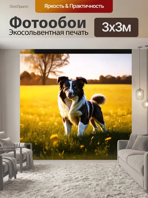 Фотообои реалистичное изображение бордер-колли в живописном поле под солнечным светом
