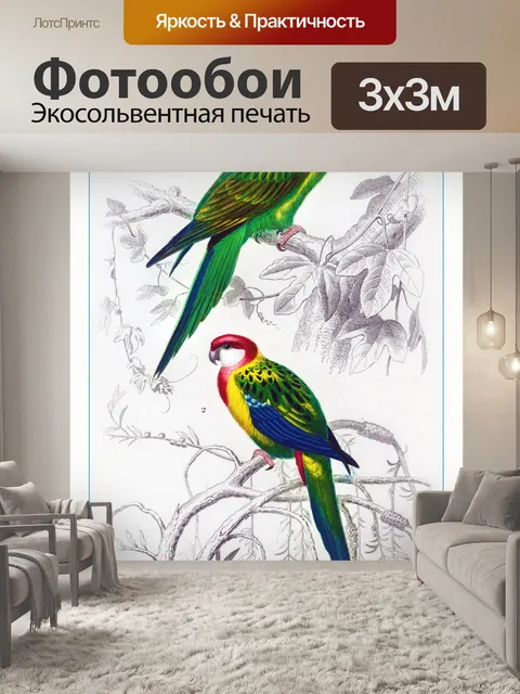 Фотообои Иллюстрация старинного искусства птиц