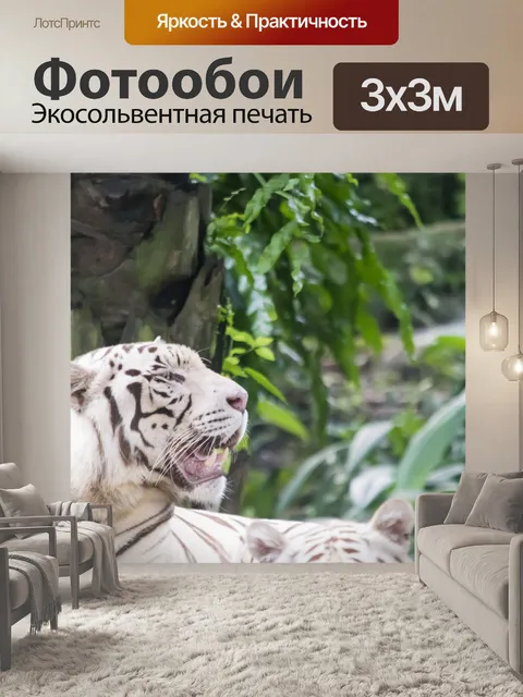 Фотообои белый тигр
