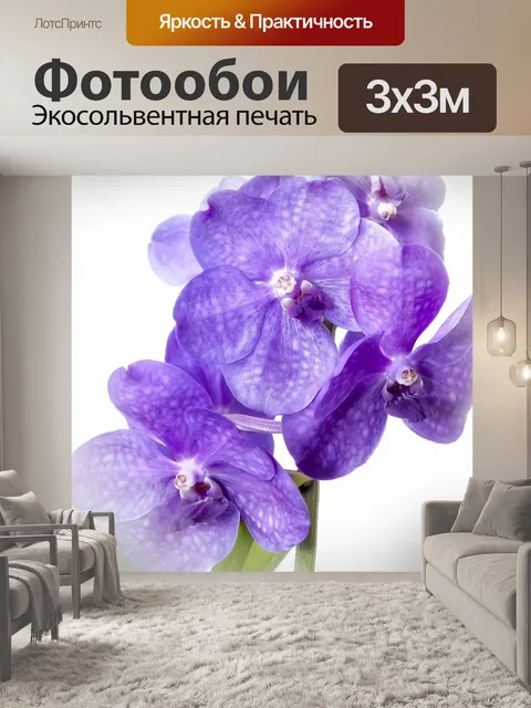 Фотообои Ванда