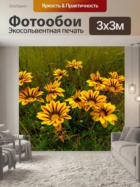 Фотообои Африканские тигрицы