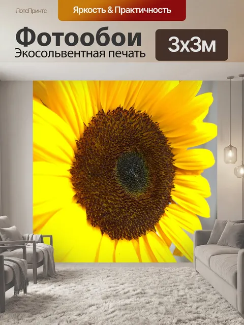 Фотообои Макро подсолнечника