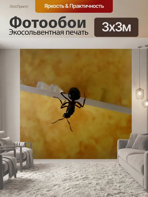 Фотообои Королева лесных муравьев