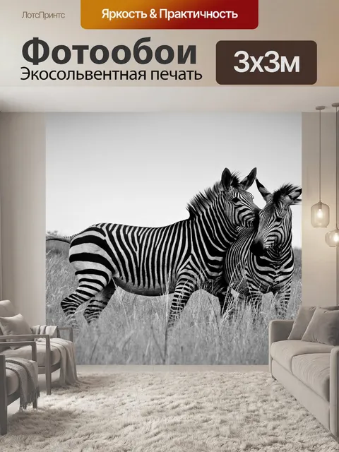 Фотообои Зебра