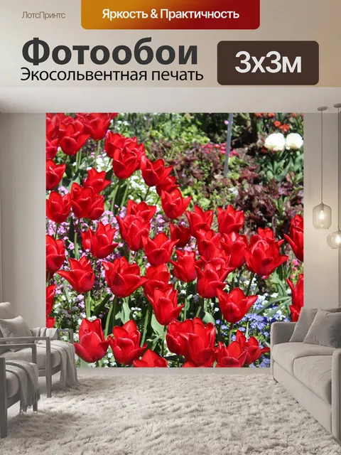 Фотообои Ботанический сад аугсбурга