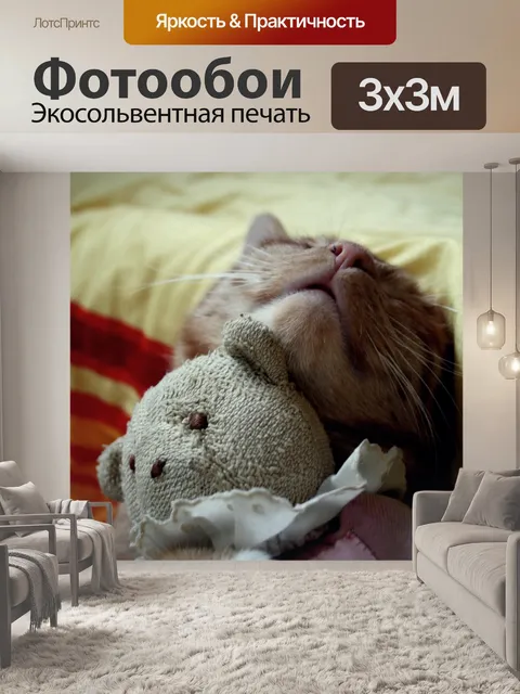 Фотообои Кот