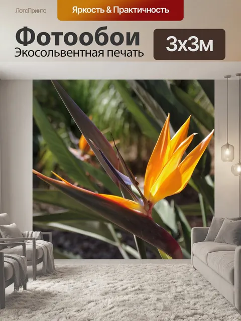 Фотообои Птичий райский цветок