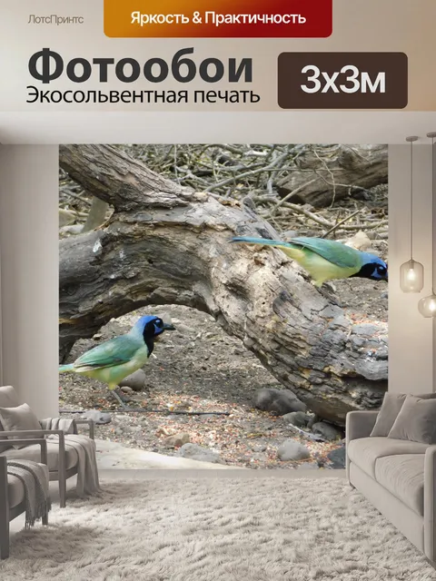 Фотообои Зеленые птицы