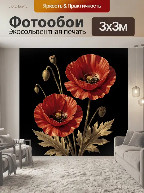 Фотообои Красные маки на черном фоне