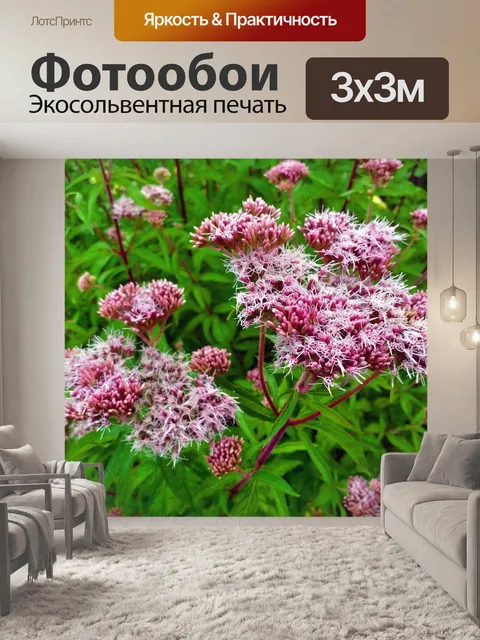 Фотообои Полевой цветок розовый розовый