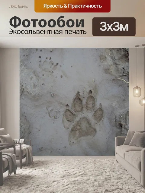 Фотообои След
