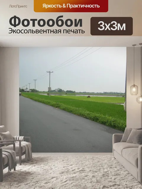Фотообои Земля