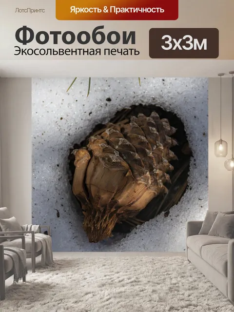 Фотообои Сосновая шишка в снегу