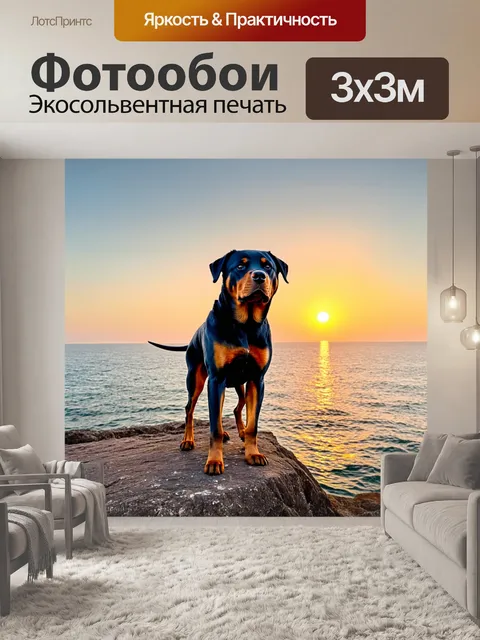 Фотообои ротвейлер на фоне заката, стоящий на скале, смотрящий на море