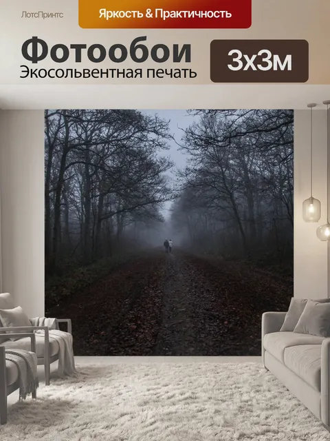 Фотообои Лесной массив