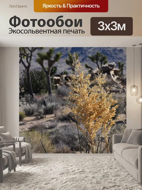 Фотообои Цветение дерева Джошуа