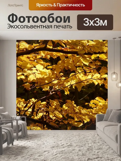 Фотообои Европейский бук