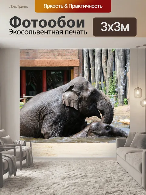 Фотообои В ванне со слонами 02