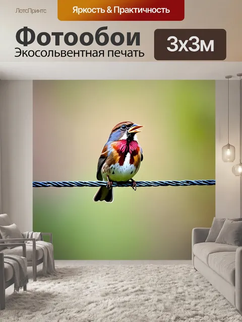 Фотообои животные в стиле рисунка красками, воробей, поющий на проволоке