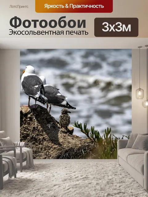 Фотообои семья чаек