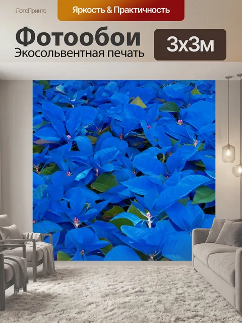 Фотообои Синий