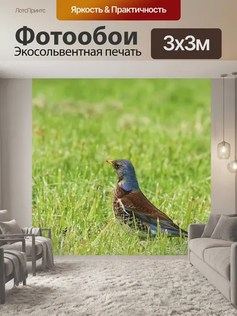 Фотообои Рябинник