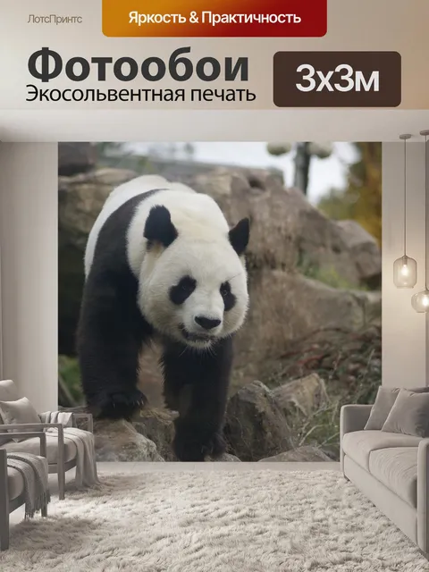 Фотообои Панда