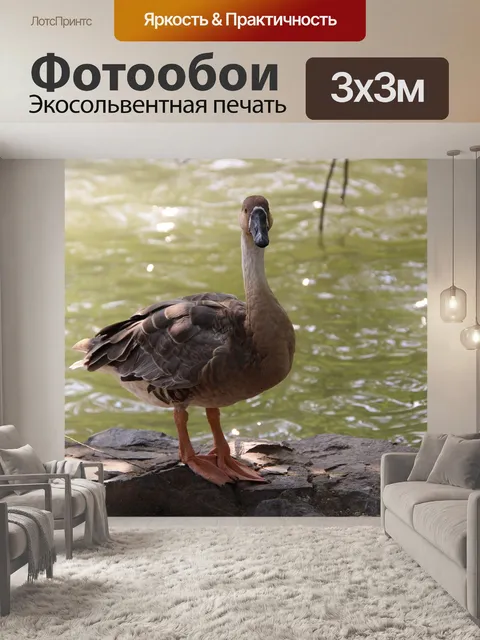 Фотообои Серый