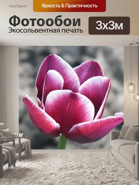 Фотообои Тюльпан
