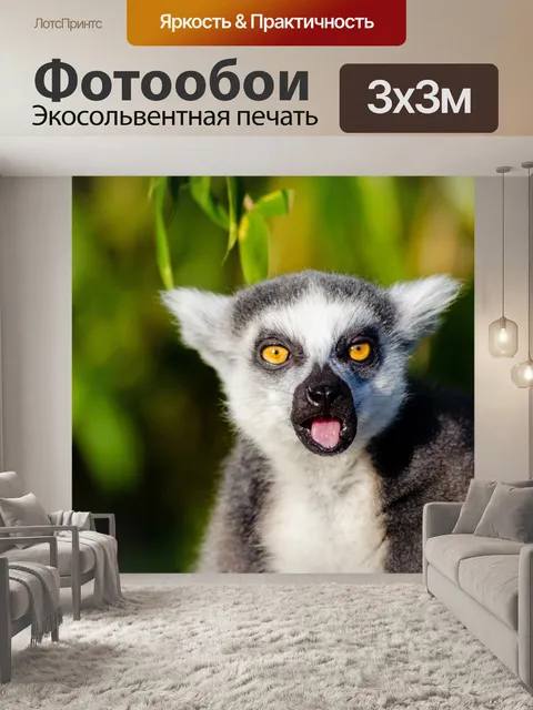Фотообои Блеск лемур Мадагаскара